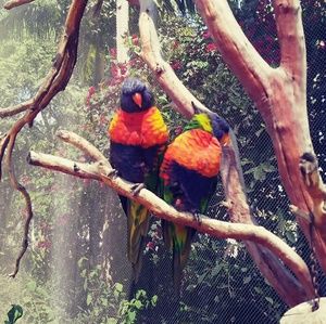 Meet your Posher, Jocelyn